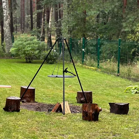 Pod Debami Сашино